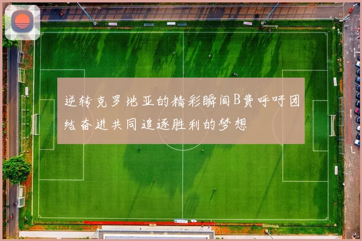 逆转克罗地亚的精彩瞬间B费呼吁团结奋进共同追逐胜利的梦想