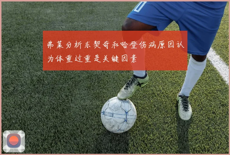 弗莱分析东契奇和哈登伤病原因认为体重过重是关键因素