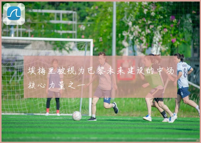 埃梅里被视为巴黎未来建设的中场核心力量之一